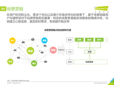 2020年中国网络营销监测报告